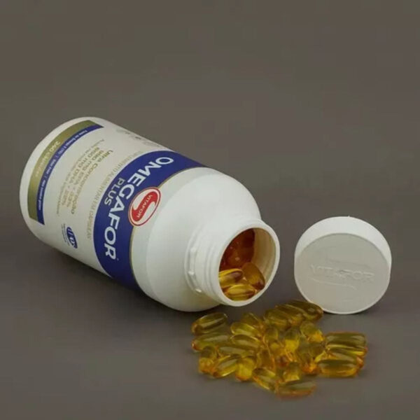 Omegafor Plus 240 Cápsulas Ômega 3 Vitafor - Imagem 3