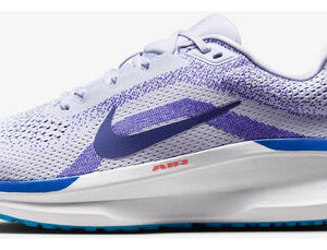 Tênis Nike Winflo 11 Masculino
