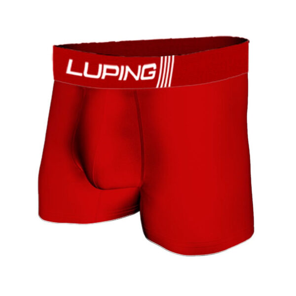 Kit 10 Cuecas Boxer Masculina Microfibra Com Forro Adulto Lisa E Estampada - Imagem 5